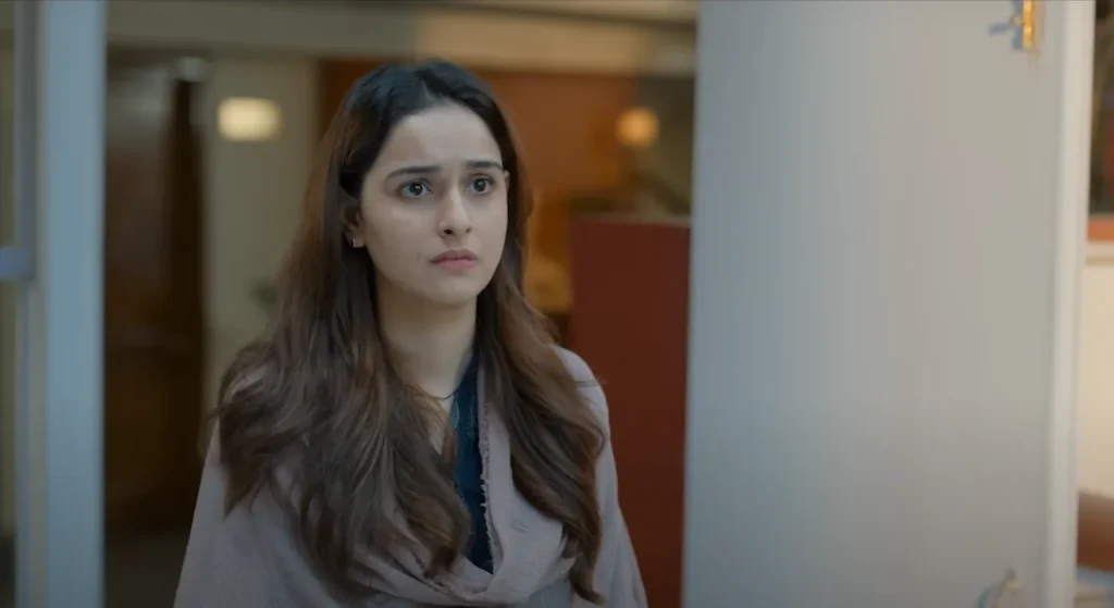 The Diplomat (2025) films bollyflix movies